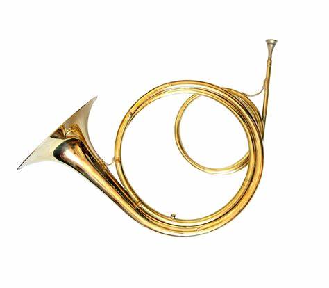 Horn